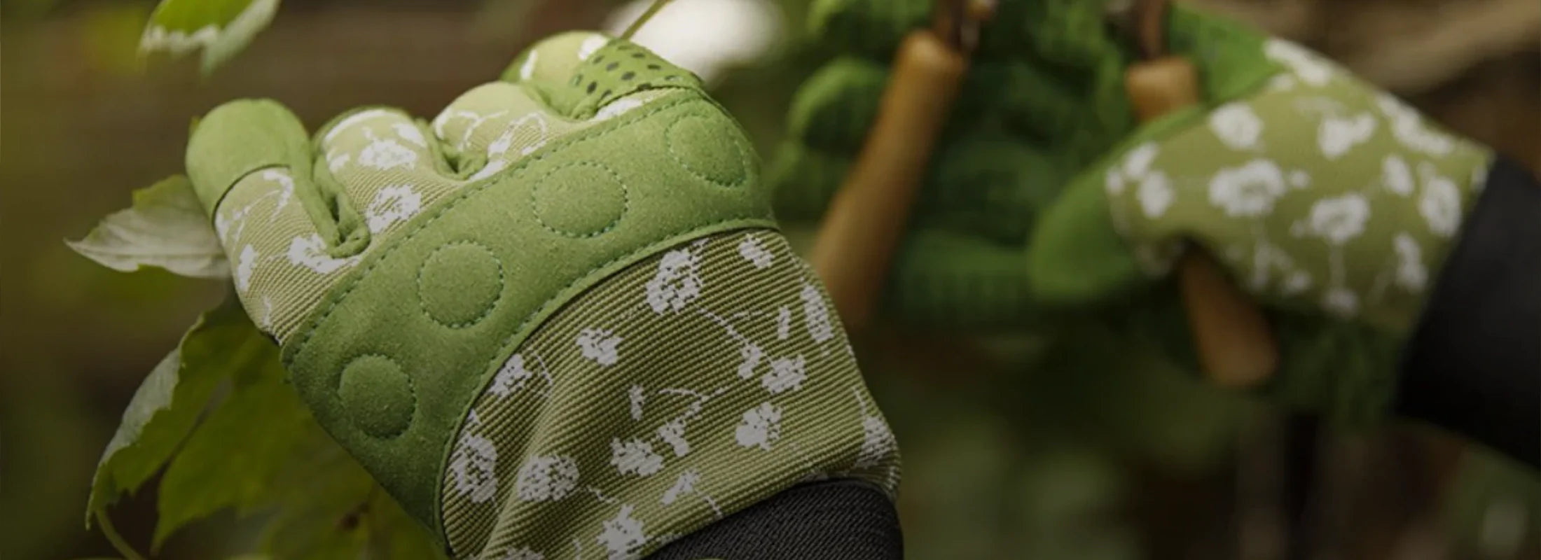 Pflanzenpflege & Samen