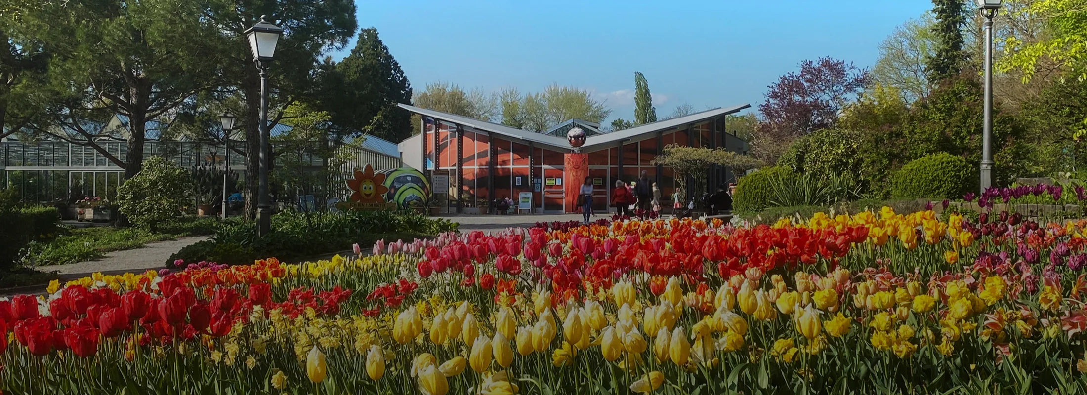 Accessoires & Souvenirs