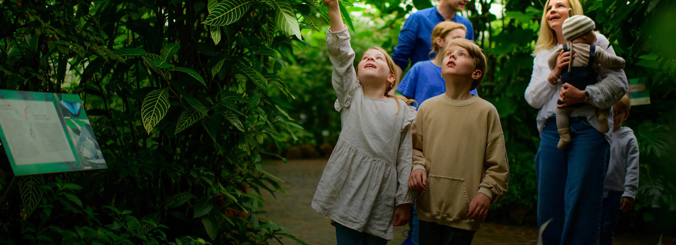 Gutscheine für die Insel Mainau