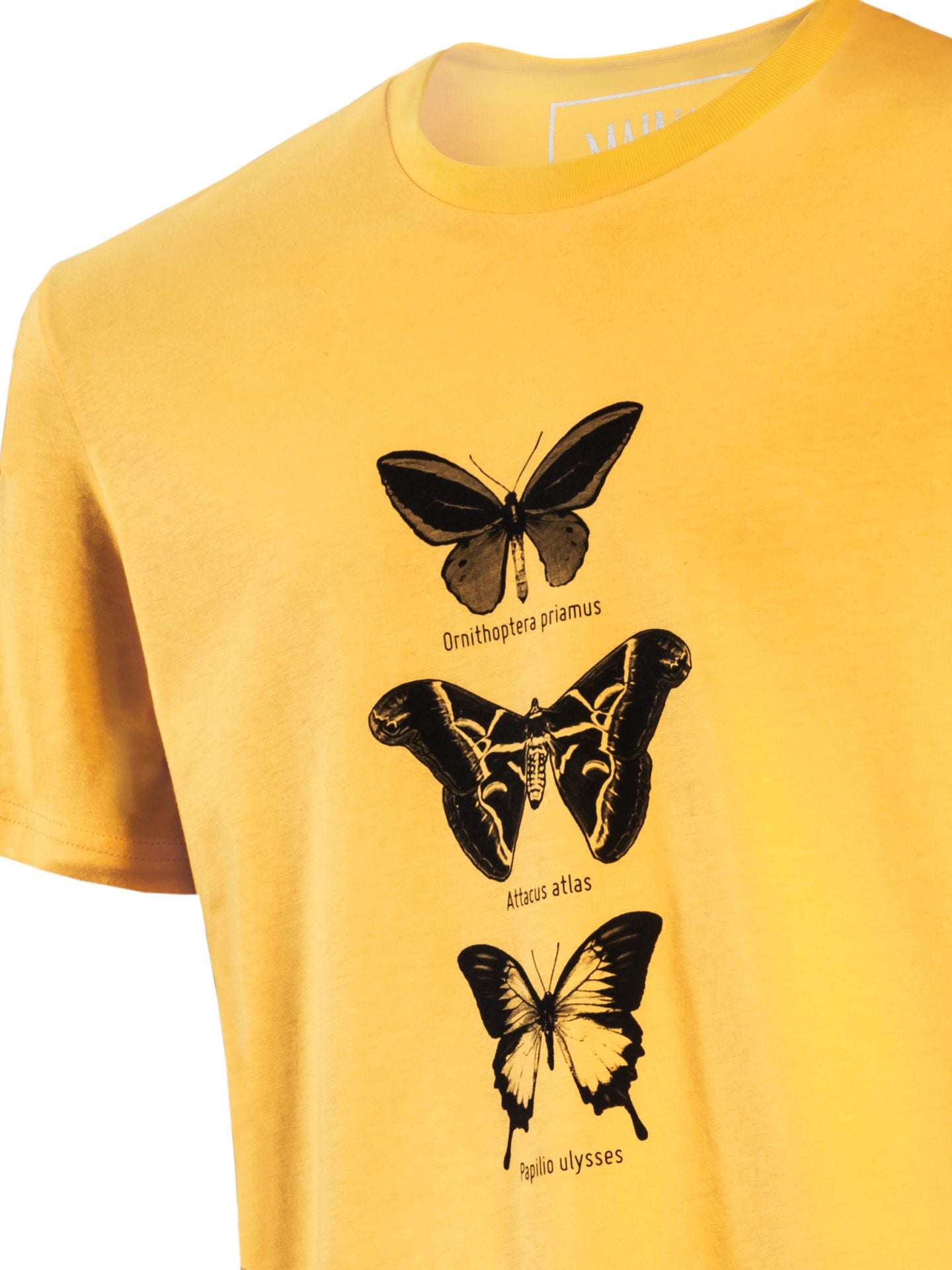 T-Shirt Schmetterlings-Trio