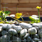 Gabionen Hochteich (490 l)