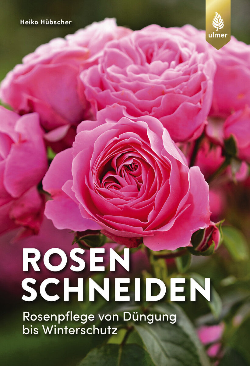 Rosen schneiden – Rosenpflege von Düngung bis Winterschutz