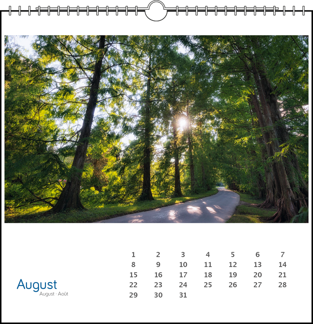 Immerwährender Tischkalender "Insel Mainau"