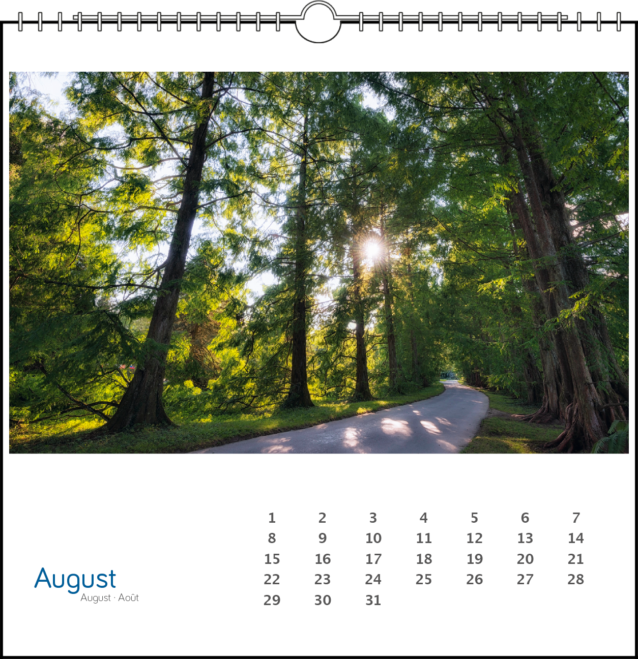 Immerwährender Tischkalender "Insel Mainau"