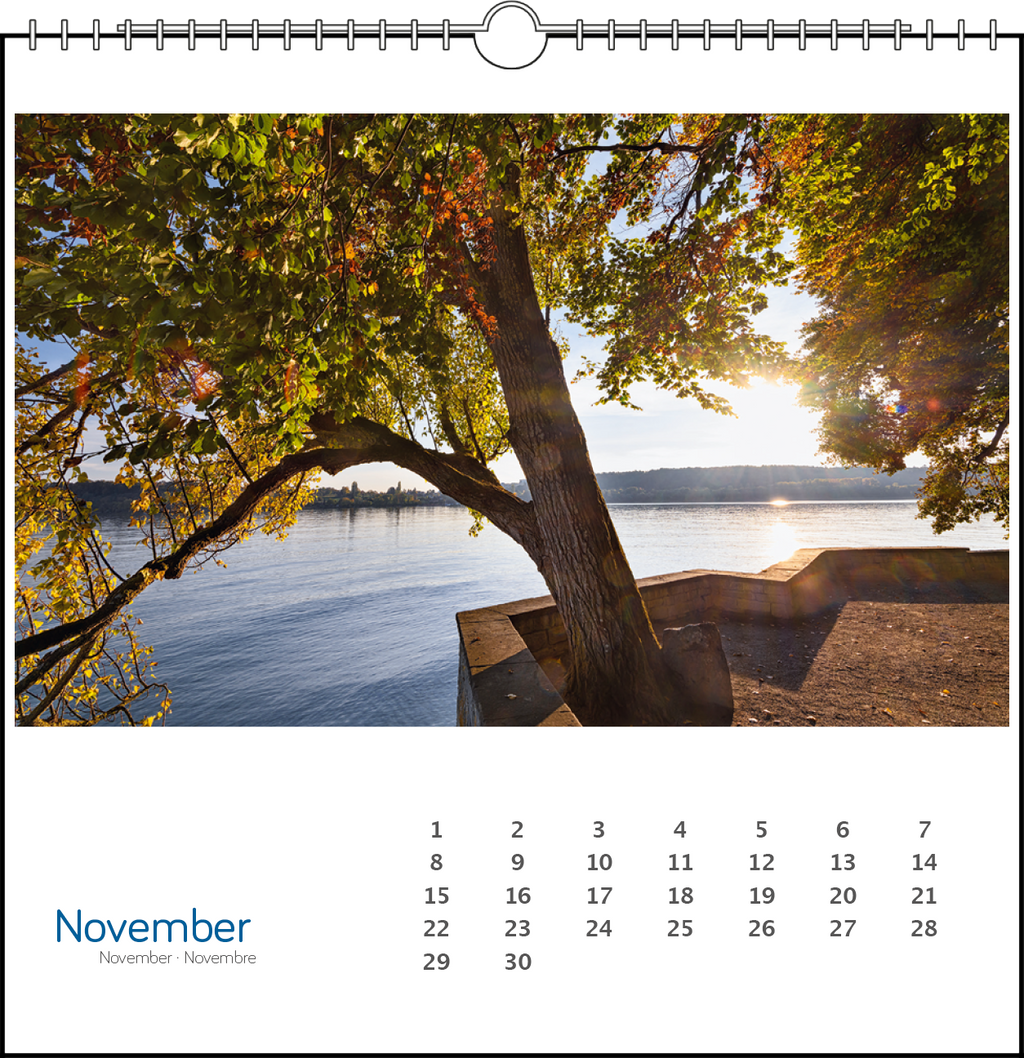 Immerwährender Tischkalender "Insel Mainau"