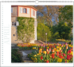 Immerwährender Wandkalender "Insel Mainau"