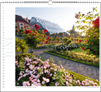 Immerwährender Wandkalender "Insel Mainau"