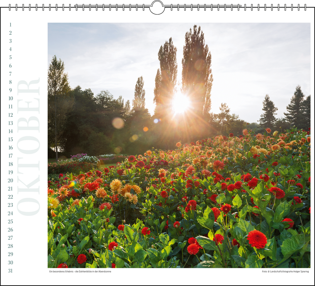 Immerwährender Wandkalender "Insel Mainau"