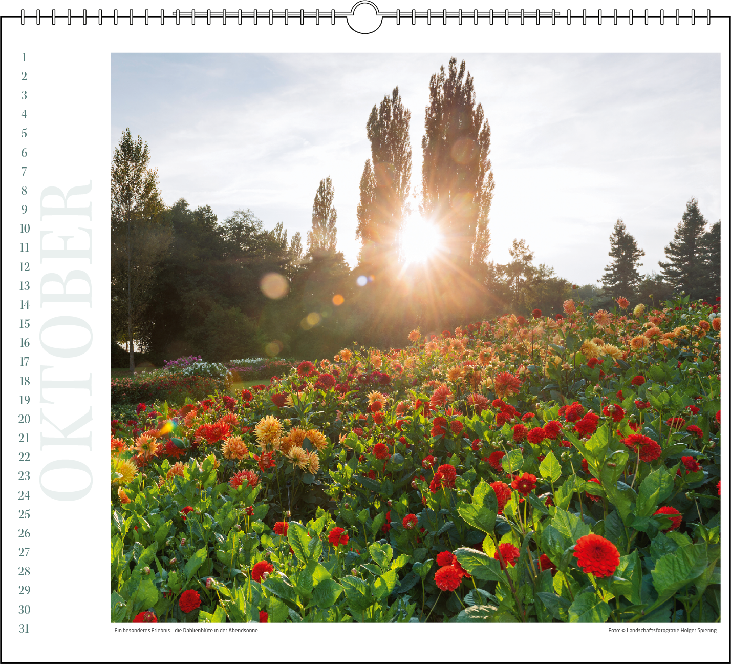 Immerwährender Wandkalender "Insel Mainau"