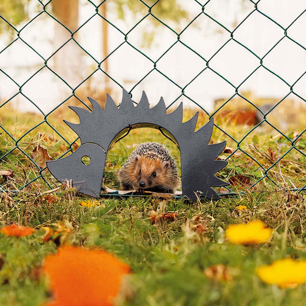 Igeltor "Petzi"