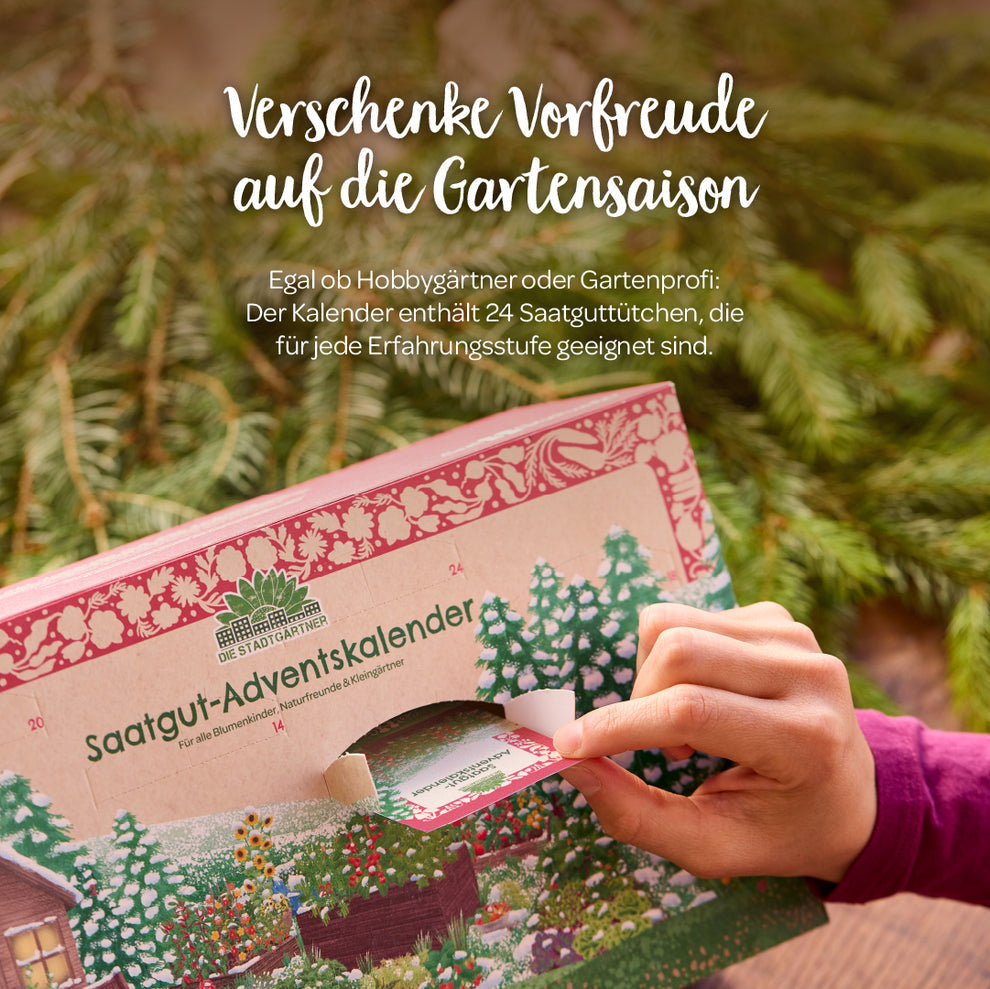 Saatgut-Adventskalender mit 24 Überraschungen