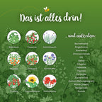 Saatgut-Adventskalender mit 24 Überraschungen