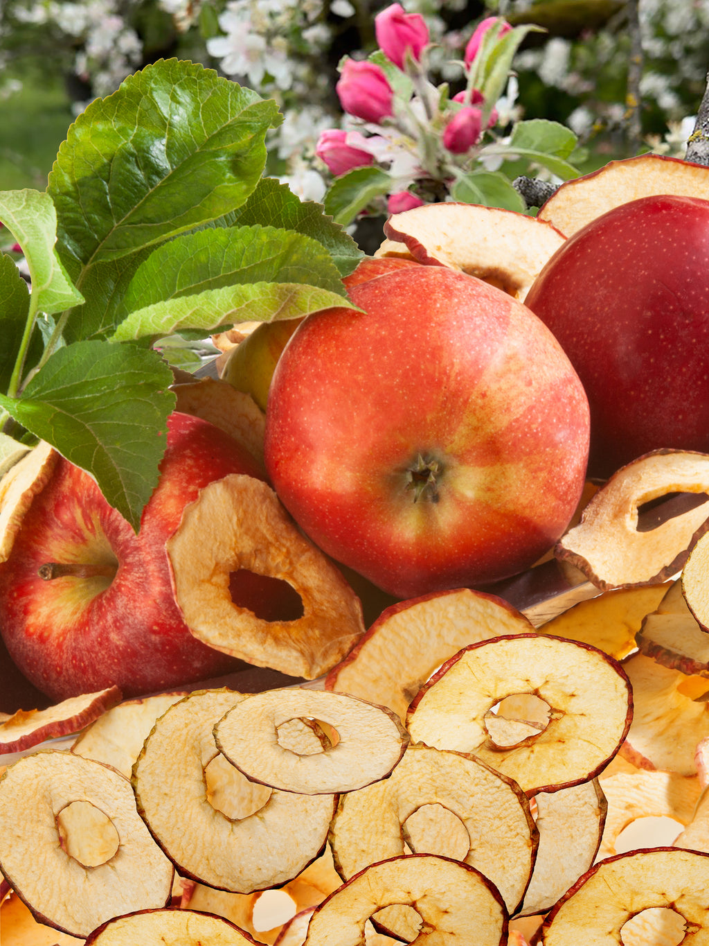 Mainau Bio Apfelchips