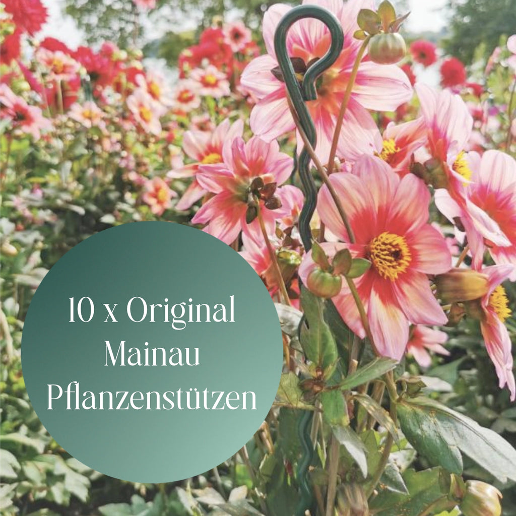 Mainau Pflanzenstütze (10er-Set)