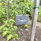 Tomatendach