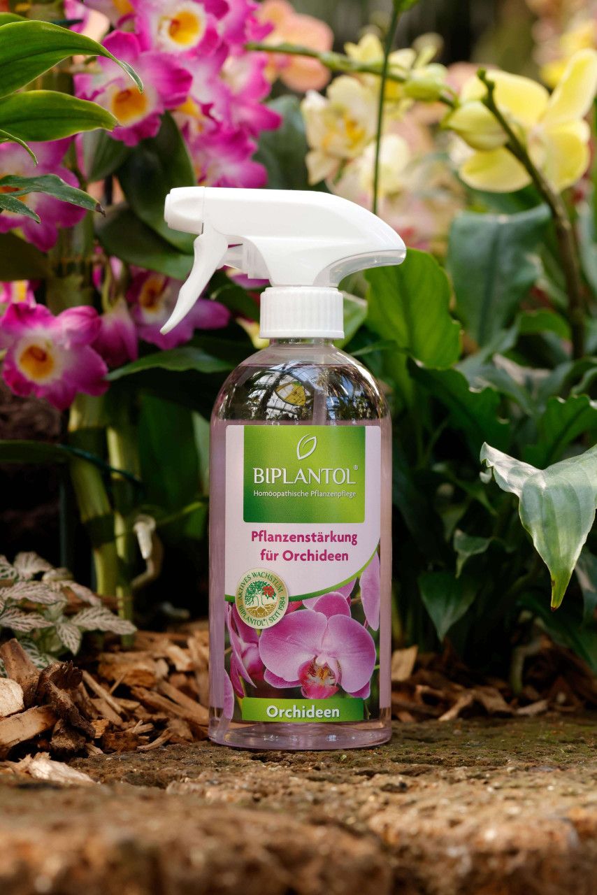 Orchideenpflege Spray 500 ml