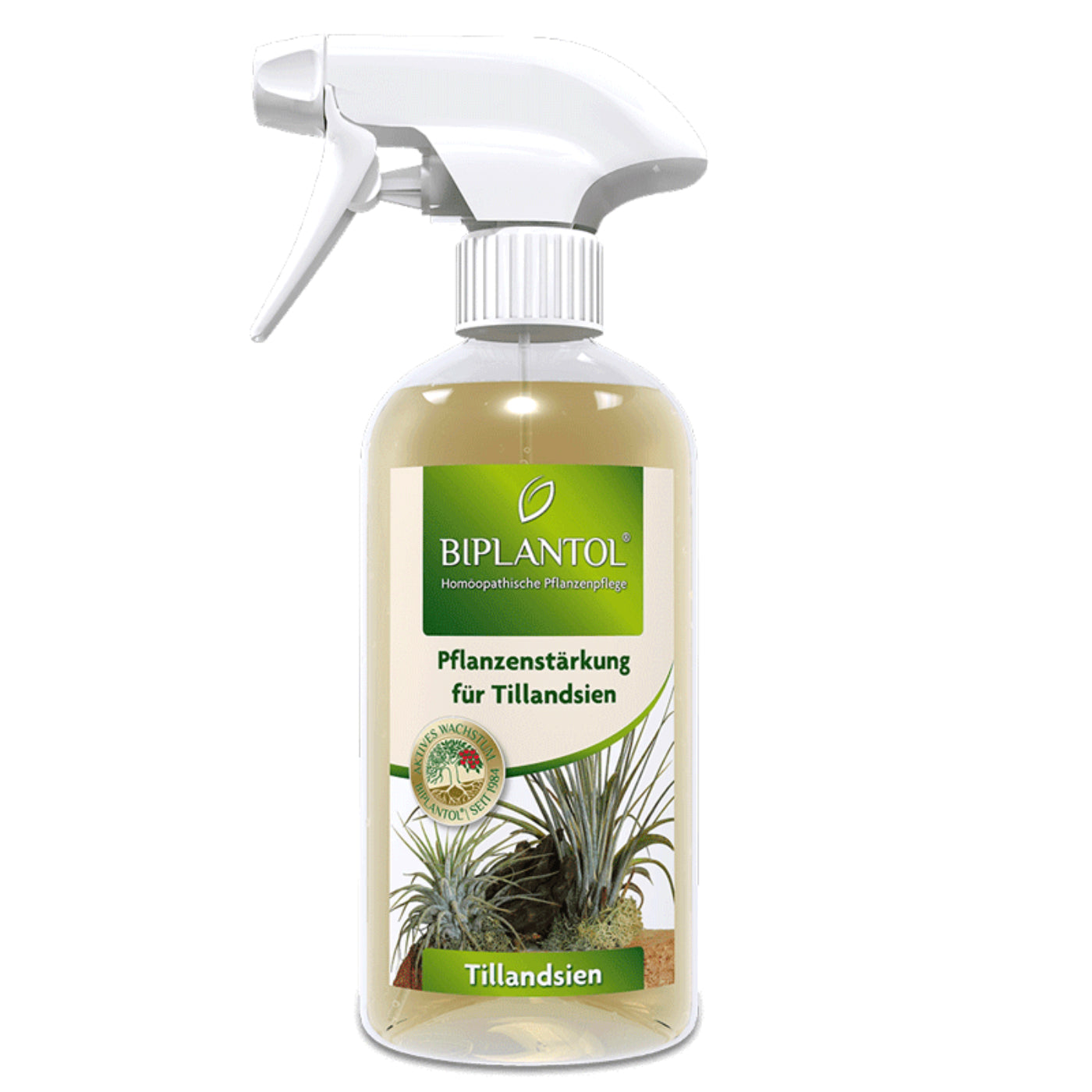 Flasche mit Tillandsien-Pflege