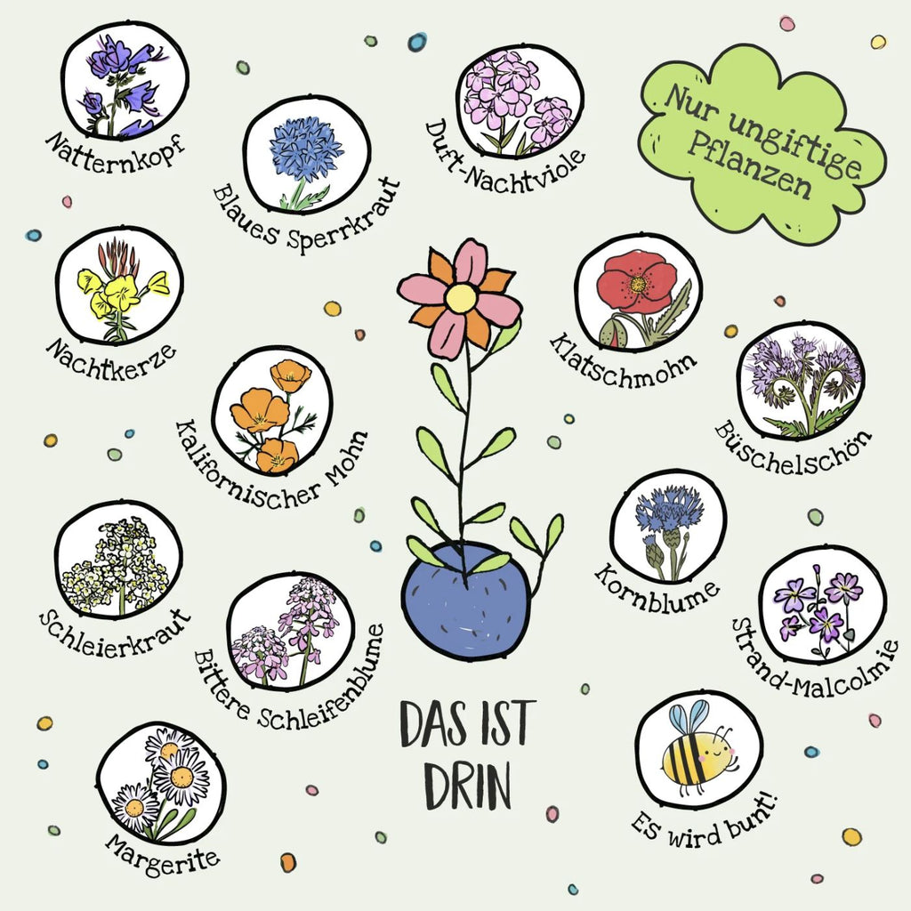 Mainau Blumenmurmeln (25 Stück) im Säckchen