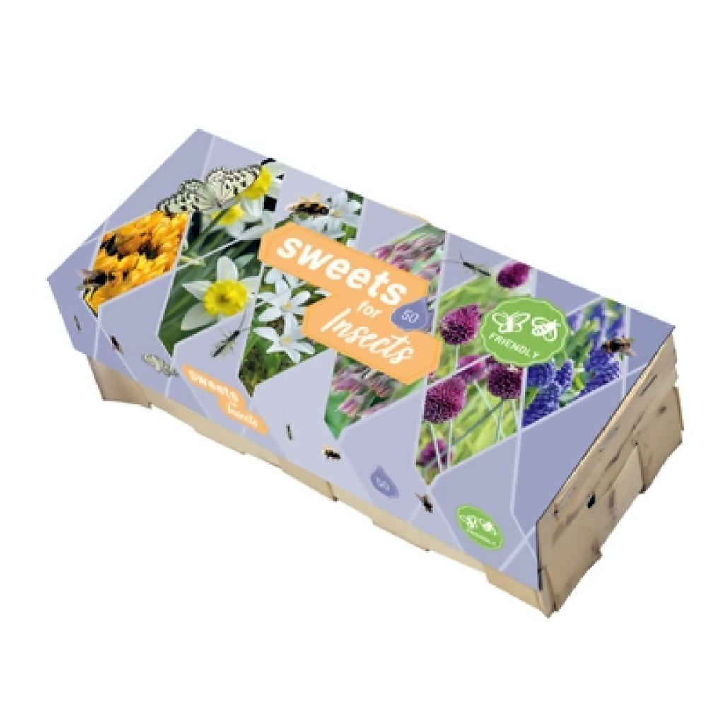 Blumenzwiebel Box "Sweets for Insects"