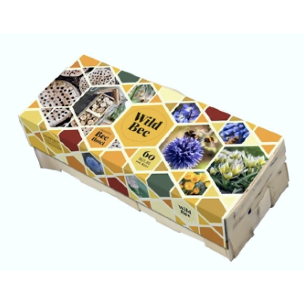 Blumenzwiebel Box "Wild Bee Hotel"