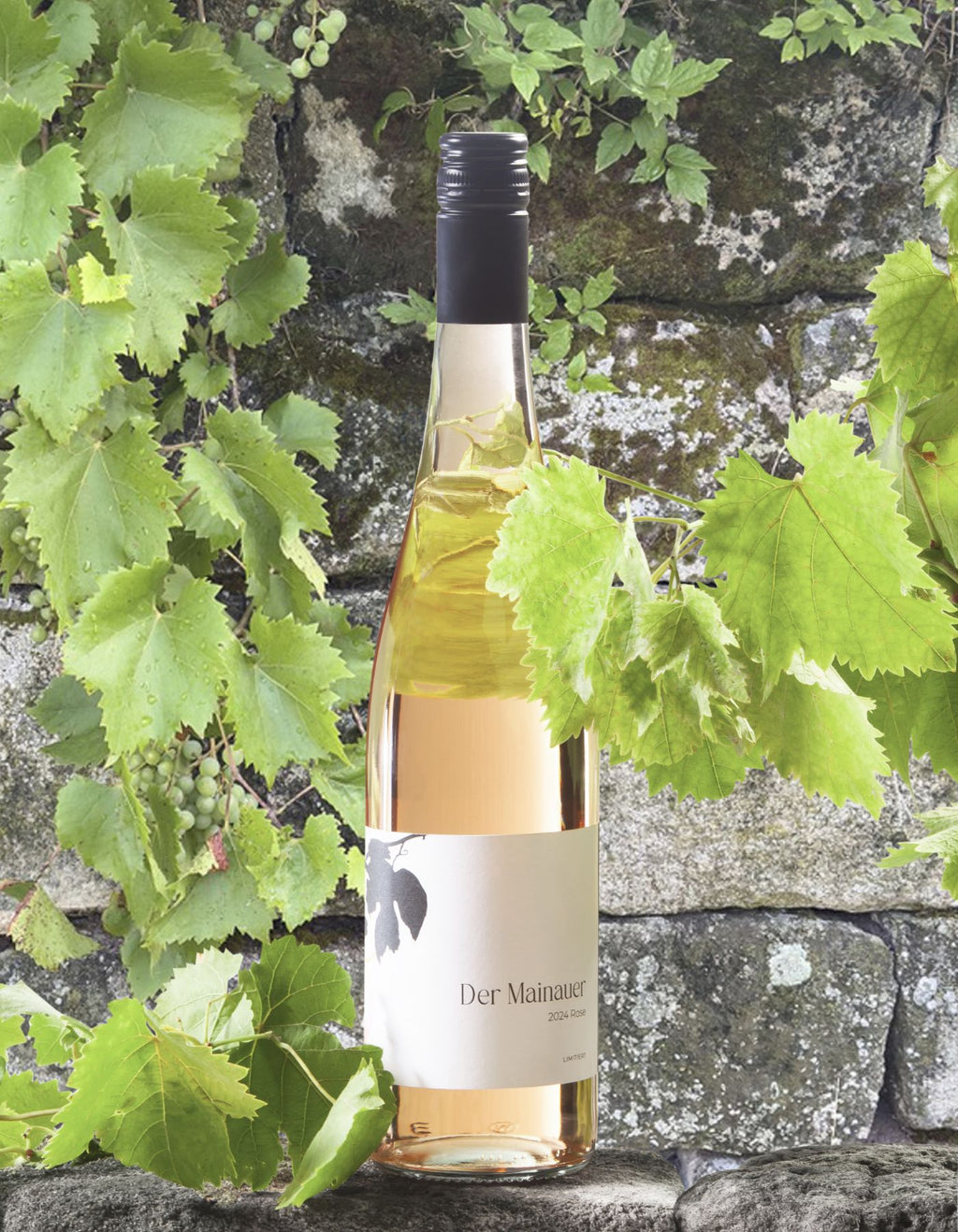 Der Mainauer - Bio-Roséwein