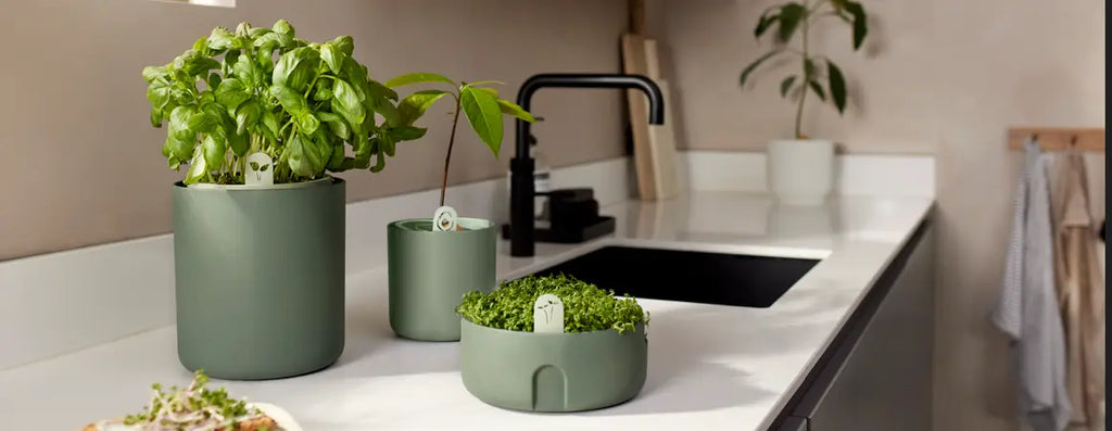 Pflanzen-Nebelsprüher "Vibes Fold"