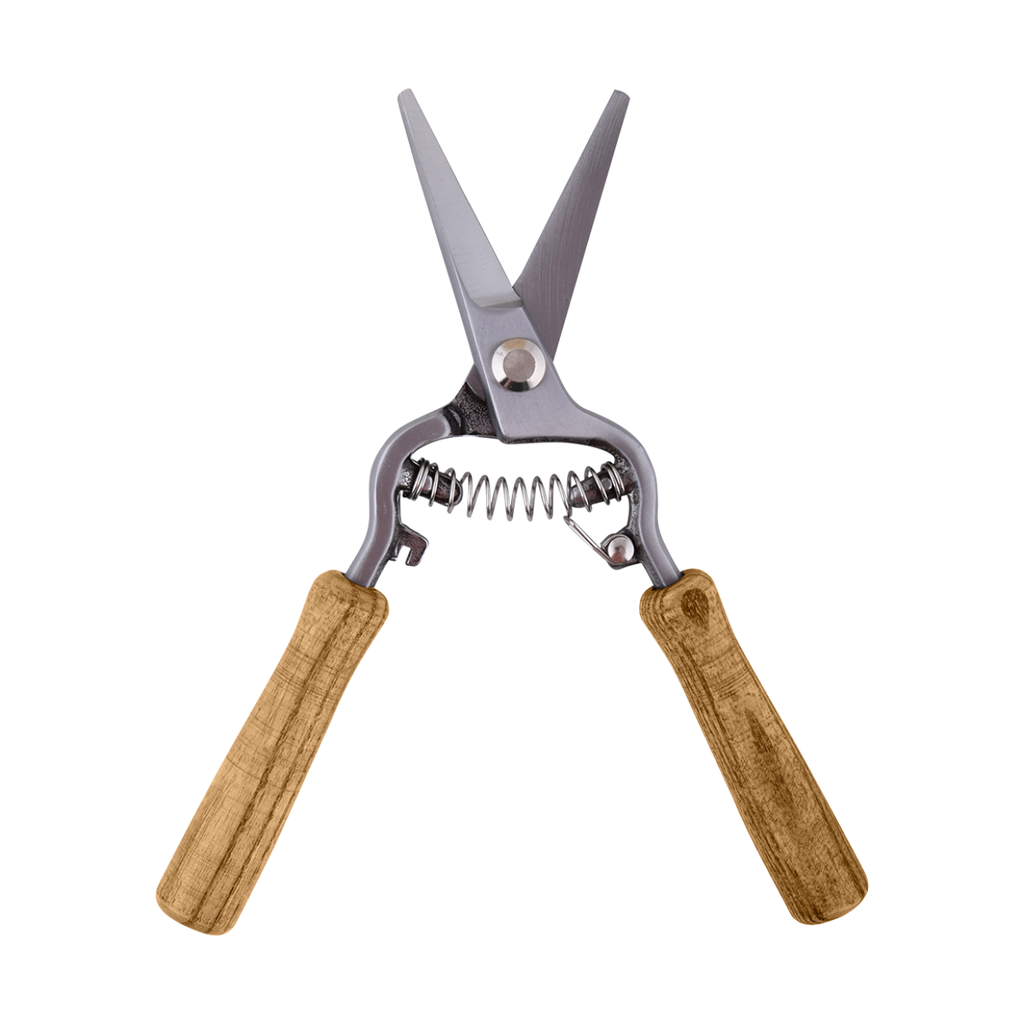 Blumenschere aus hochwertigem Carbonstahl