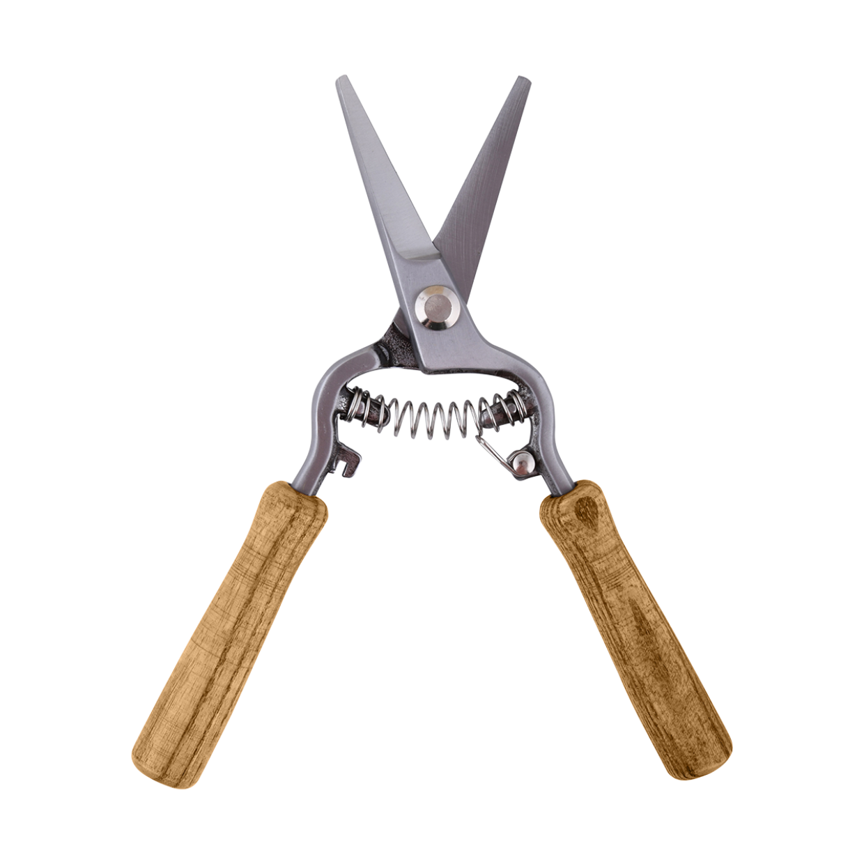 Blumenschere aus hochwertigem Carbonstahl