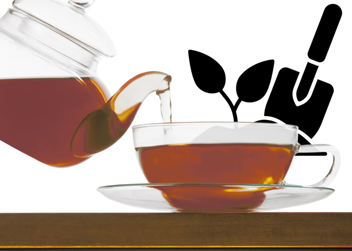 Kräuter- und Früchtetees