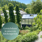 Hochbeet-Gewächshaus "Solanum" Modell Comfort