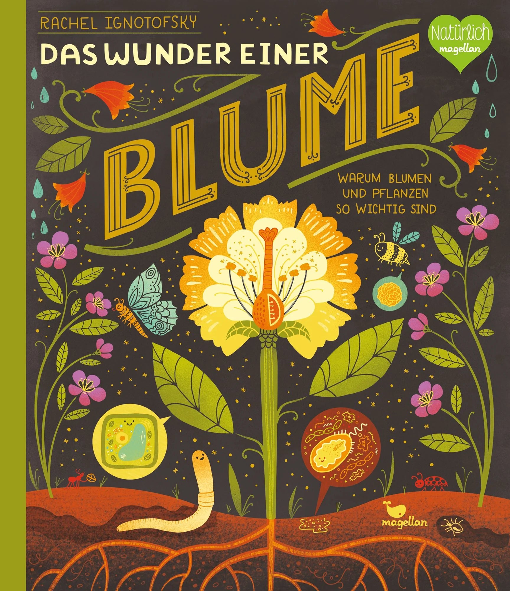 Kinderbuch „Das Wunder einer Blume - Warum Blumen und Pflanzen so wichtig sind“