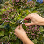 Mini-Gartenschere