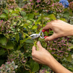 Mini-Gartenschere