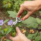 Mini-Gartenschere