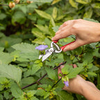 Mini-Gartenschere