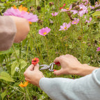 Mini-Gartenschere