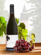 Der Mainauer - Cuvée aus Monarch und Cabernet Cortis Bio-Rotwein