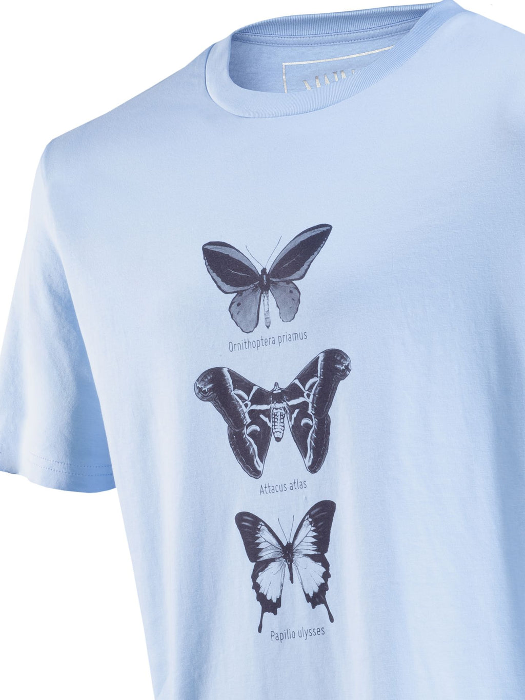 T-Shirt Schmetterlings-Trio