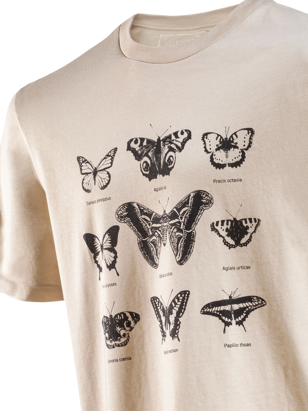 T-Shirt Schmetterlinge