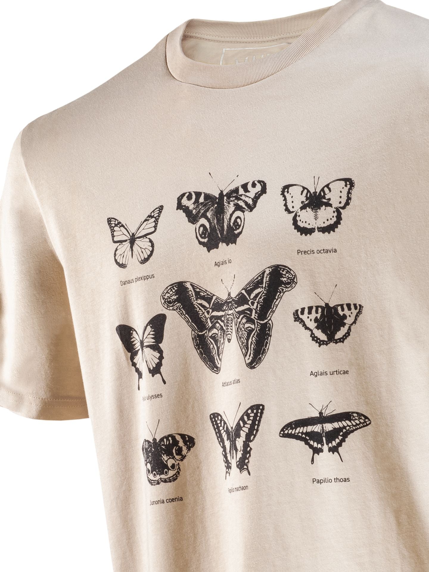 T-Shirt Schmetterlinge