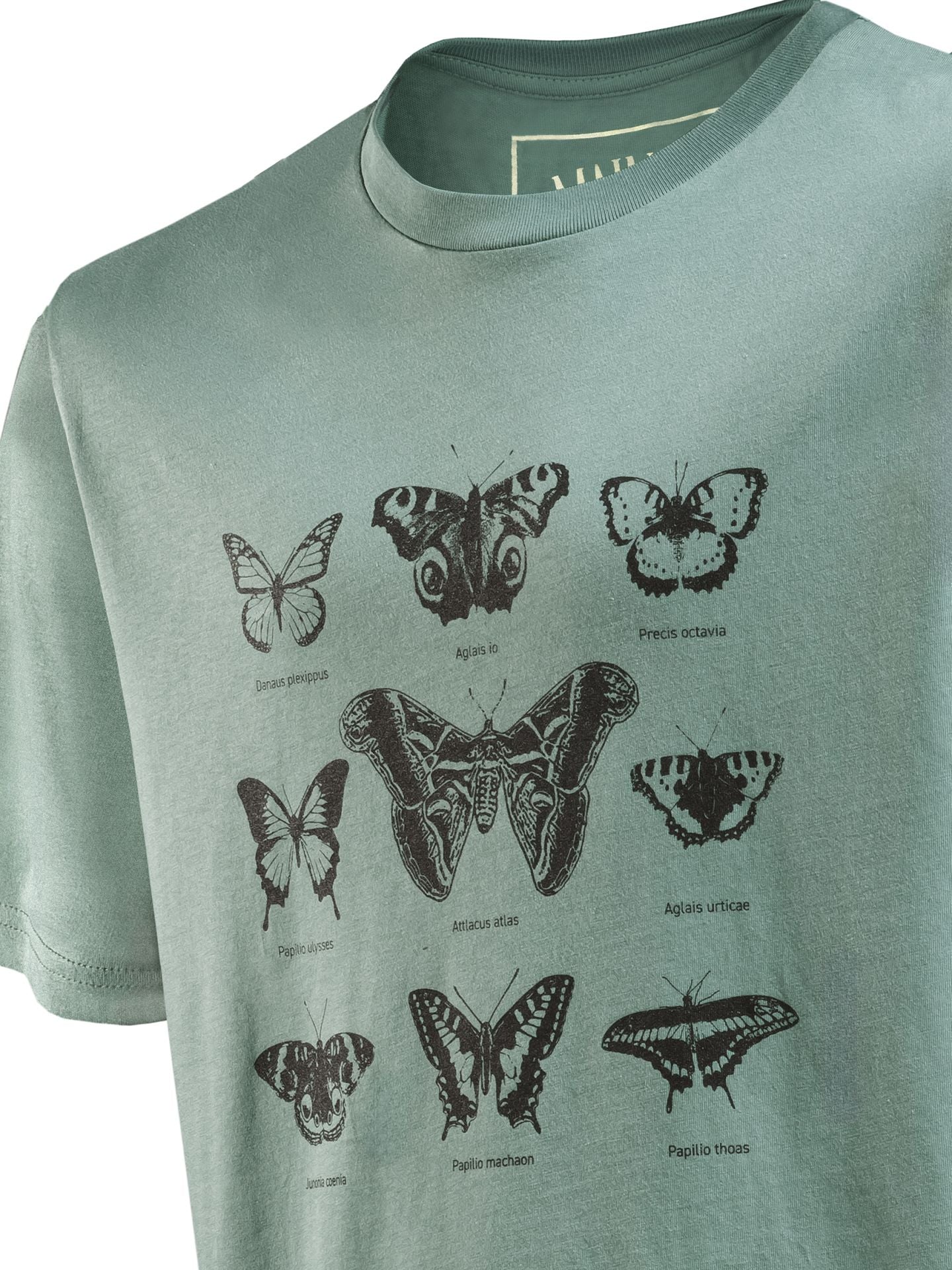 T-Shirt Schmetterlinge