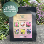 Tulpenzwiebel-Mix "Frühlingsstraße"