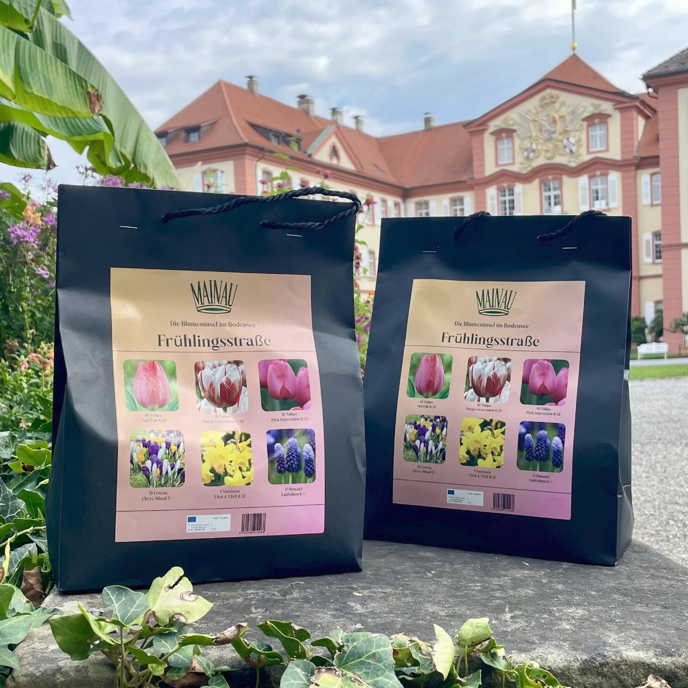 Tulpenzwiebel-Mix "Frühlingsstraße"