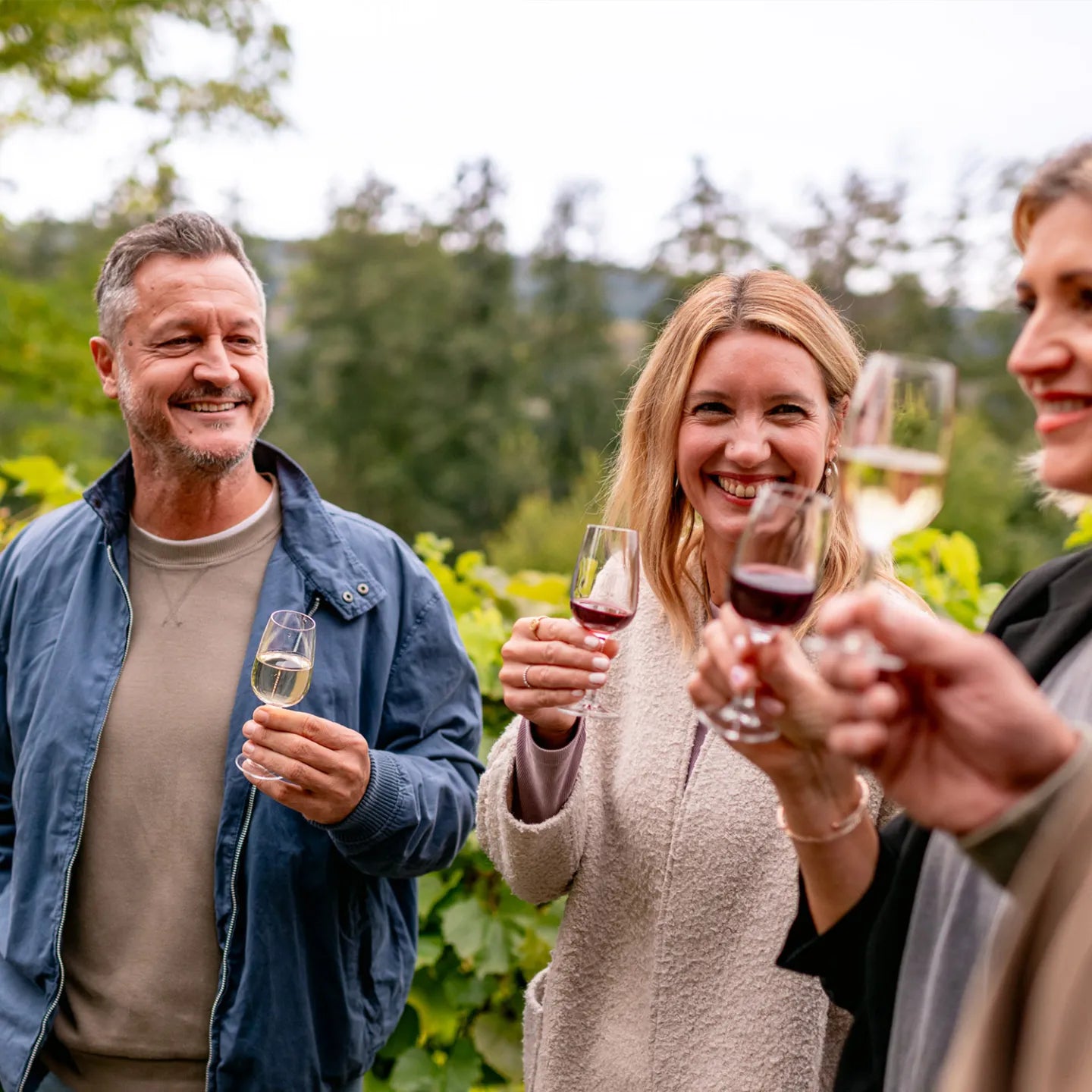 Vier Freunde genießen Wein auf der Insel Mainau