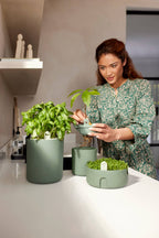 Topf "Amazing Avocado Pot"