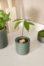 Topf "Amazing Avocado Pot"