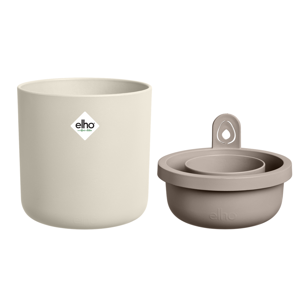 Topf "Amazing Avocado Pot"