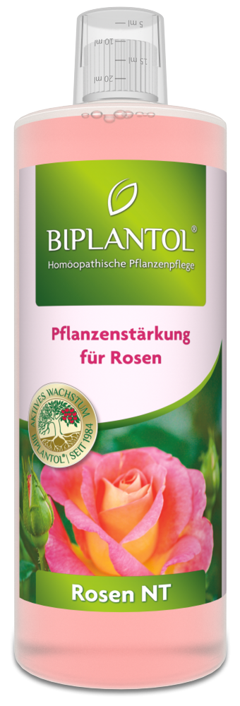 Rosen-Pflegeset 3 in 1