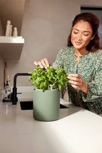 Topf "Bouncy Basil"
