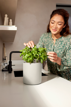 Topf "Bouncy Basil"